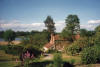 A picture of Tangletrees