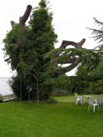 NGS Garden Open to the Public