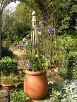 NGS Garden Open to the Public
