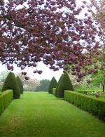 Spring at Hinton Ampner