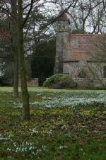 Snowdrops at Hinton Ampner
