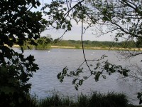 A picture of Old Alresford Pond