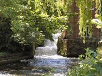 The Town Mill